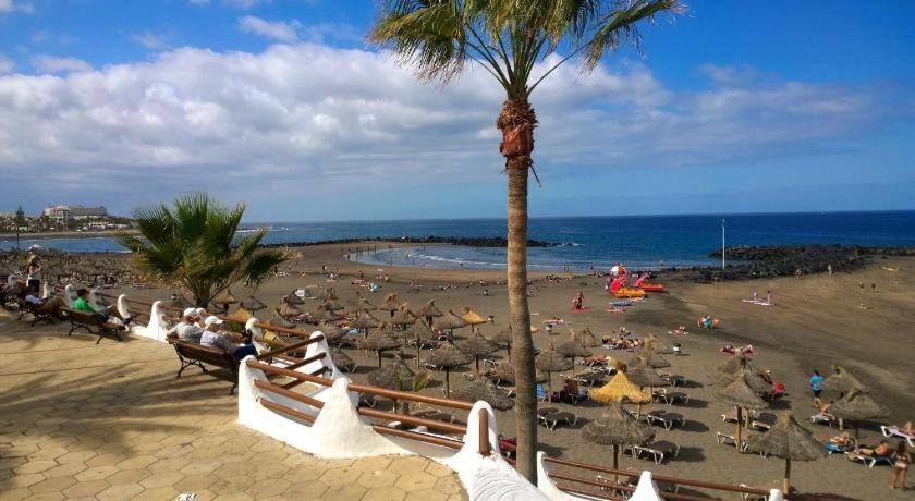 Beachfront Studio Las Americas بلايا ذي لاس أميريكاس المظهر الخارجي الصورة